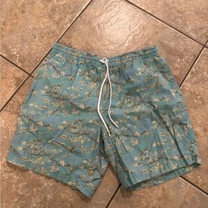 RSVLTS Van Gogh Almond Branches Light Teal Floral Swim Shorts